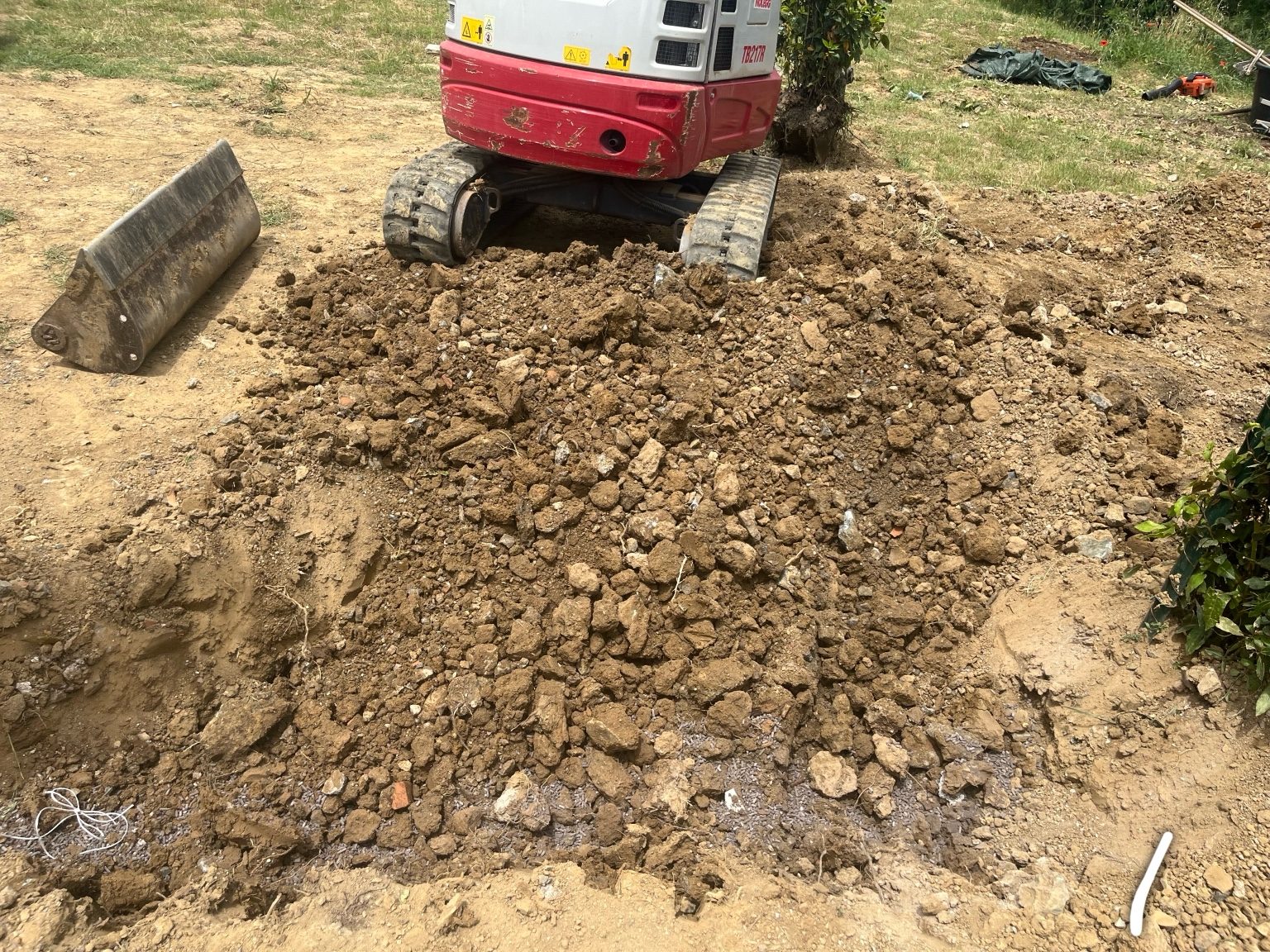 Lavori di giardinaggio a Livorno