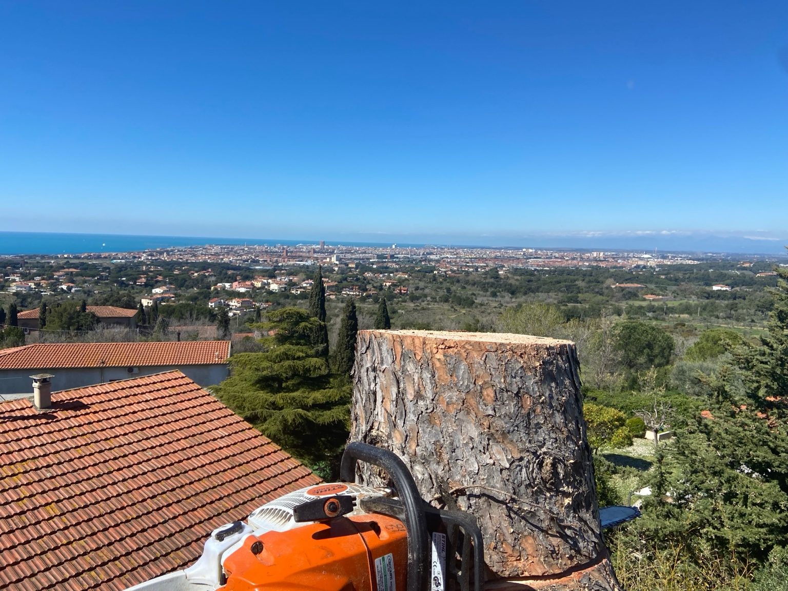 Lavori di giardinaggio a Livorno