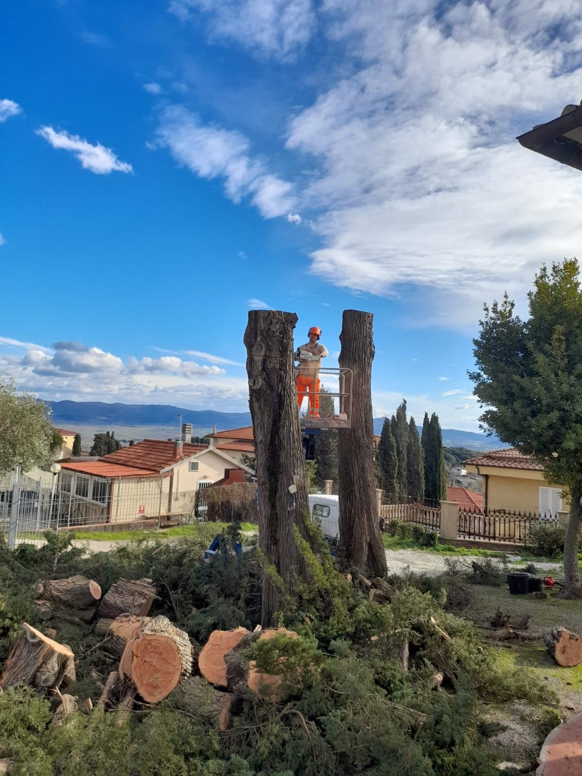 Lavori di giardinaggio a Livorno