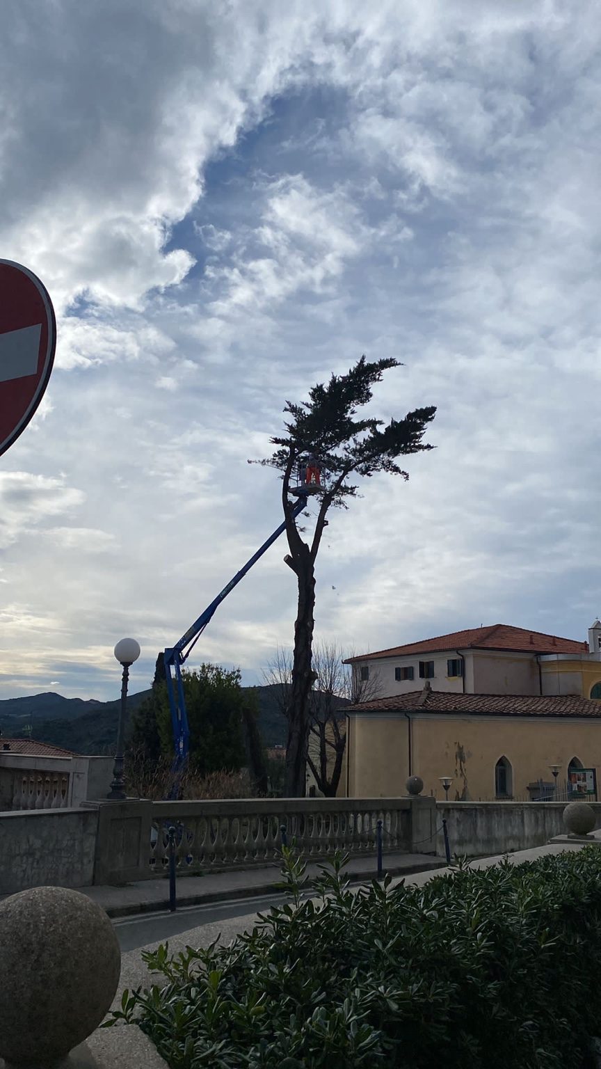 Lavori di giardinaggio a Livorno
