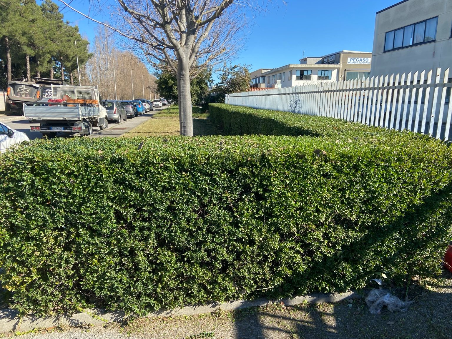 Lavori di giardinaggio a Livorno